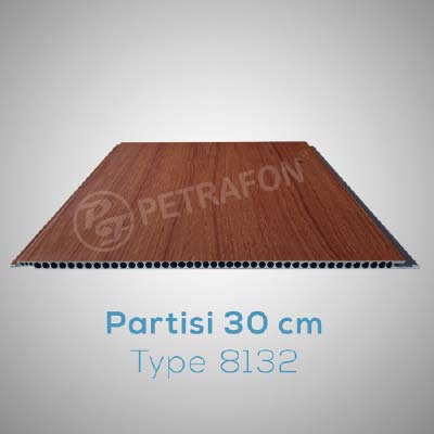 8132_partisi