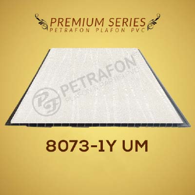 PREMIUM 8073-1Y