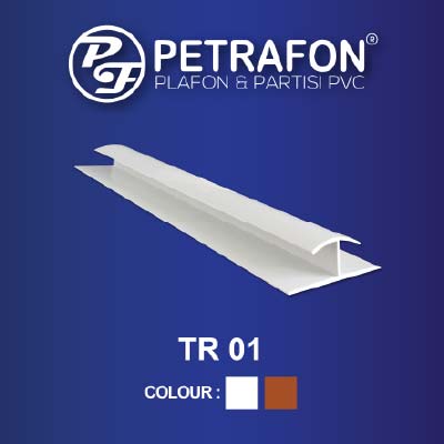 LIS TR 01