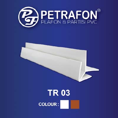 LIS TR 03