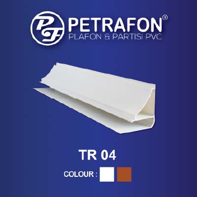 LIS TR 04
