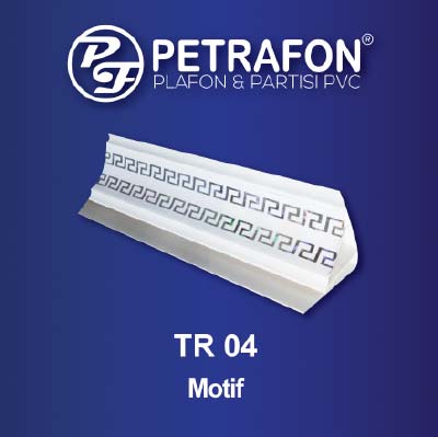 LIS TR 04 Ractangel