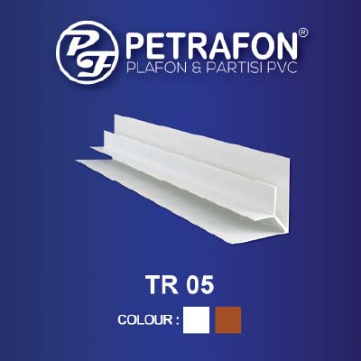 LIS TR 05